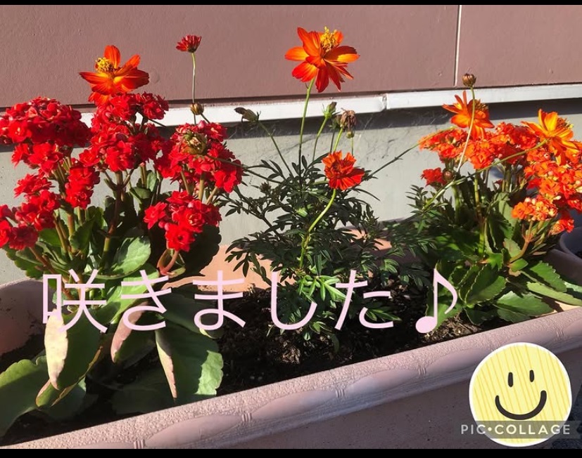 EISUゼミナール半田西校