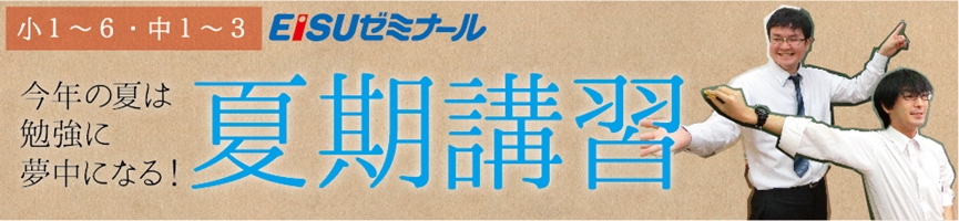 EISUゼミナール小中部 夏期講習のご案内 | EISU